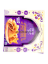 deep-samosa-spicy-lentil-24pc