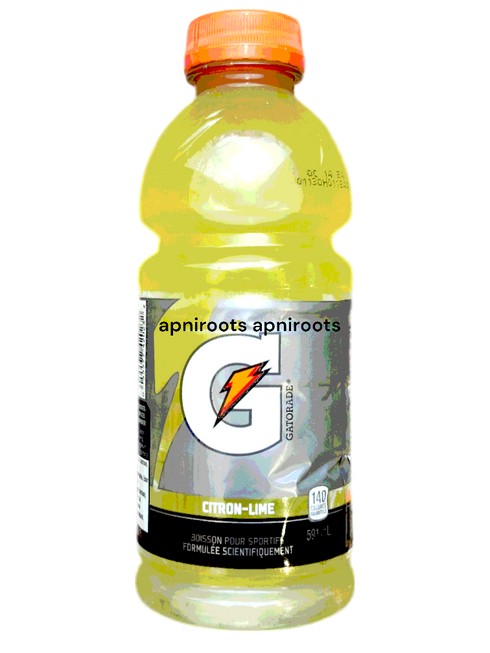 gatorade-lemon-591ml