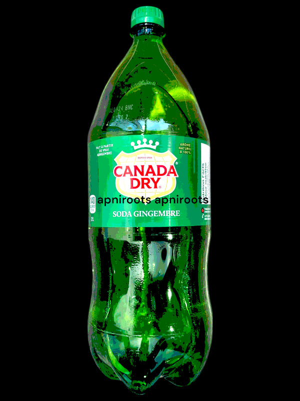 canada-dry-gingerale-2l