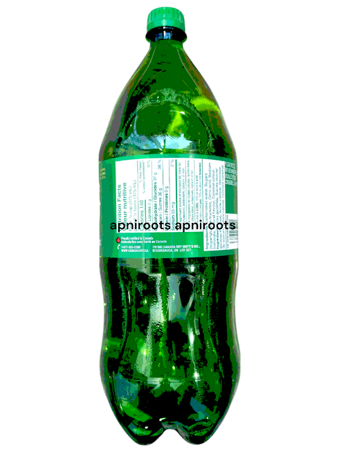 canada-dry-gingerale-2l