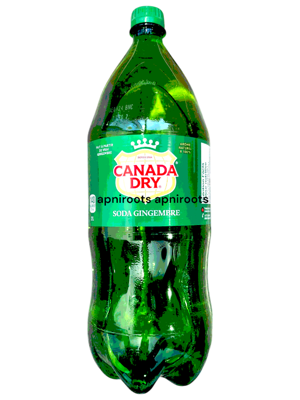 canada-dry-gingerale-2l
