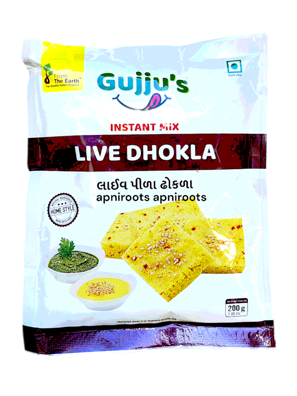 fte-gujju-live-dhokla-200g