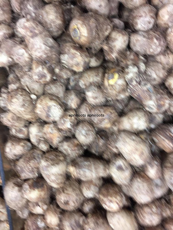 ARBI INDIAN - 1LB | (10-12 pcs approx.) - apniroots Grocery