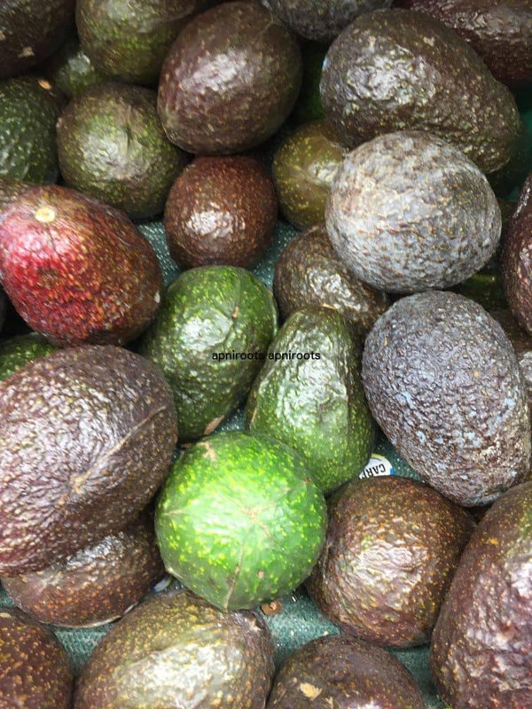 Avacado each - apniroots Grocery