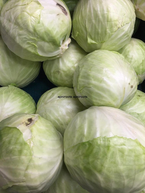 CABBAGE EACH - apniroots Grocery