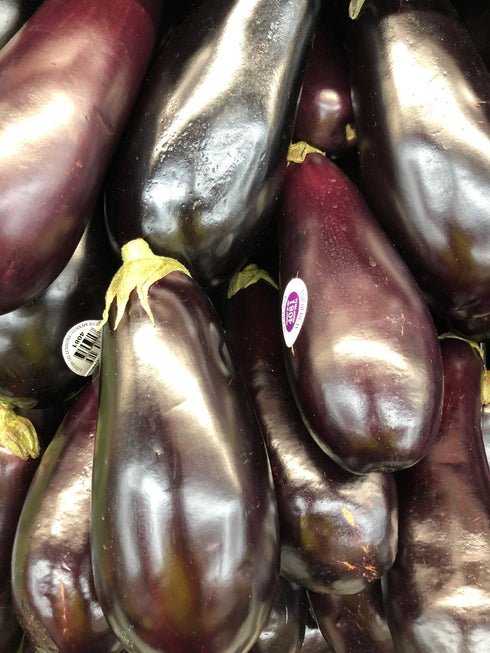 EGGPLANT INDIAN - 1lb | (1 pcs approx.) - apniroots Grocery