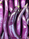 EGGPLANT LONG - 1lb | (2-3 pcs approx.) - apniroots Grocery