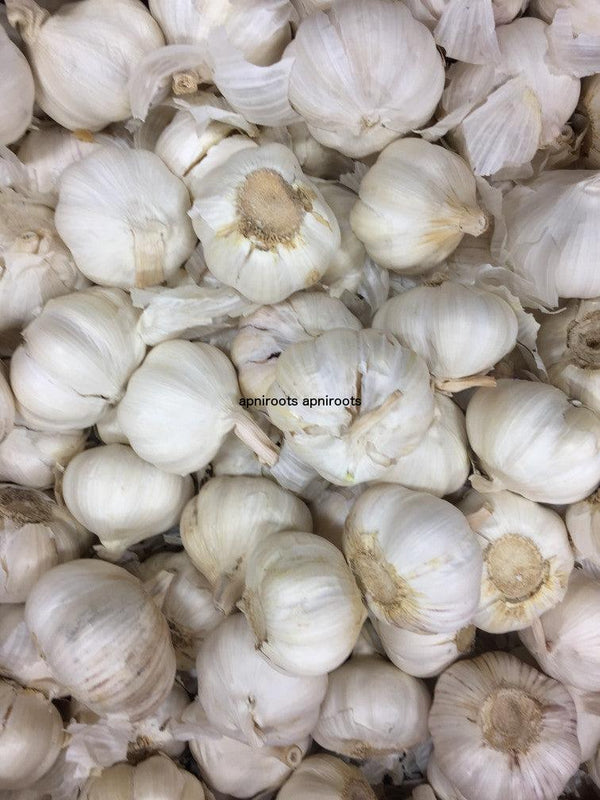 GARLIC LOOSE - 1LB | (8-9 pcs approx.) - apniroots Grocery