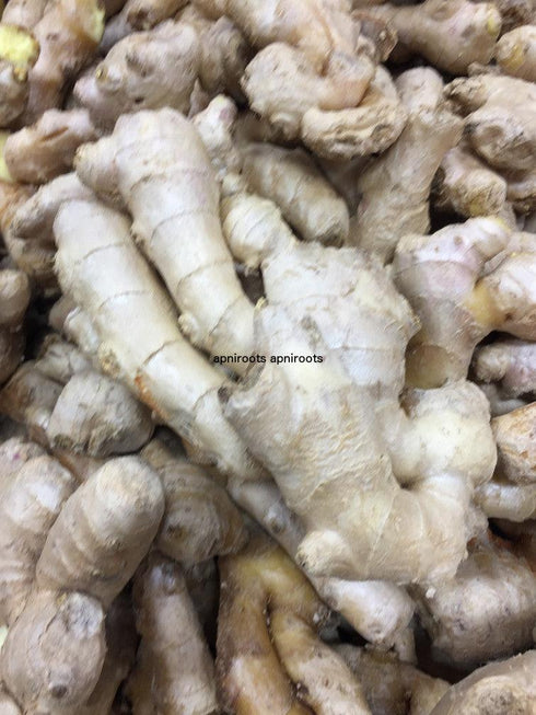 GINGER - 1LB | (2-3 pcs approx.) - apniroots Grocery