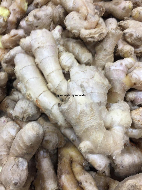 GINGER - 1LB | (2-3 pcs approx.) - apniroots Grocery