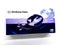 Glove Box Small Size - apniroots Grocery