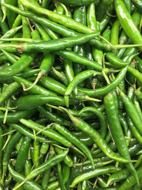 GREEN LONG CHILLI - 1LB | (small bag approx.) - apniroots Grocery