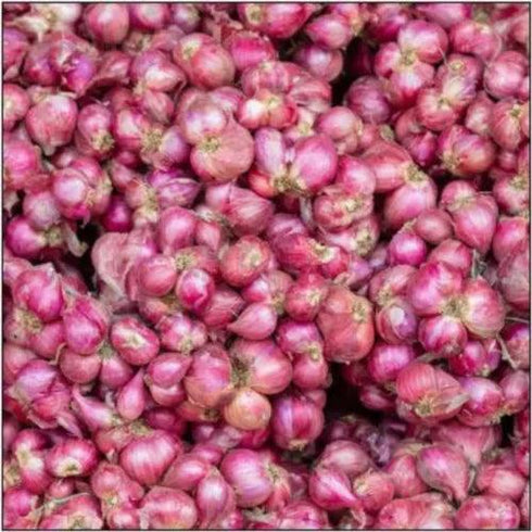 Indian Onion small - 1lb - apniroots Grocery