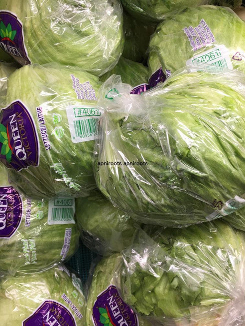 LETTUCE EACH - apniroots Grocery