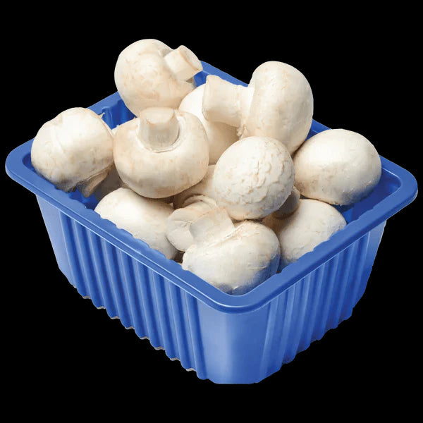 Mushroom White - 1 pack 226gm - apniroots Grocery