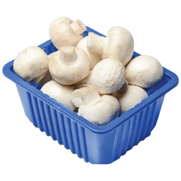 Mushroom White - 1 pack 226gm - apniroots Grocery