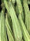 OKRA CHINESE - 1lb | ( 1 pcs approx.) - apniroots Grocery