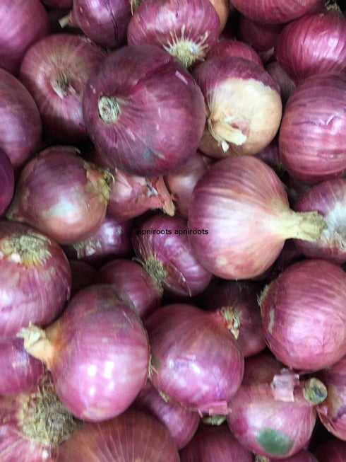 ONION LIGHT PINK INDIAN - 1LB - apniroots Grocery