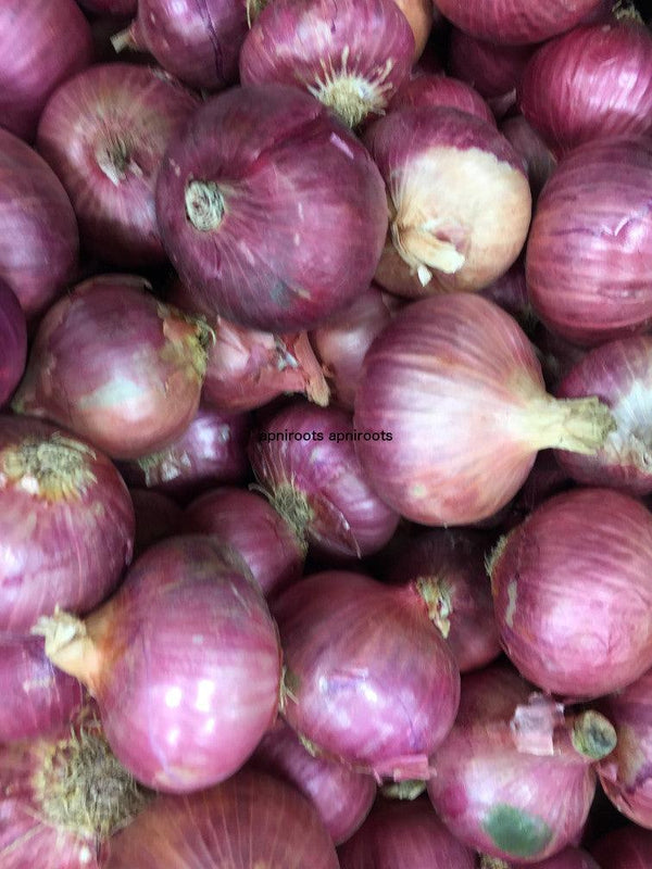 ONION LIGHT PINK INDIAN - 1LB - apniroots Grocery