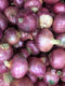 ONION LIGHT PINK INDIAN - 1LB - apniroots Grocery