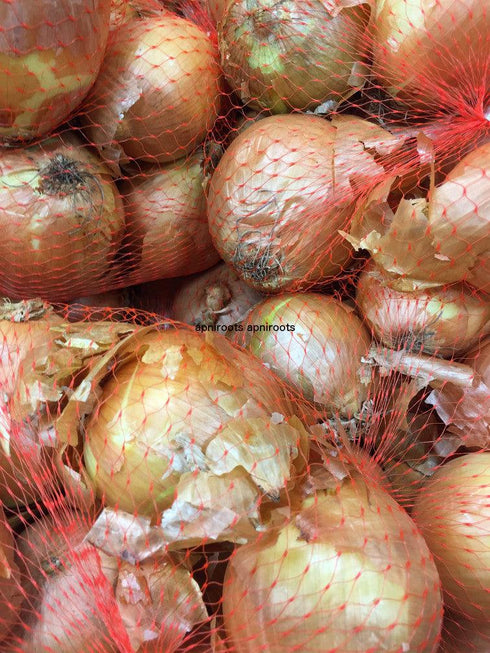 ONIONS WHITE - 2LB | (4 pcs approx.) - apniroots Grocery