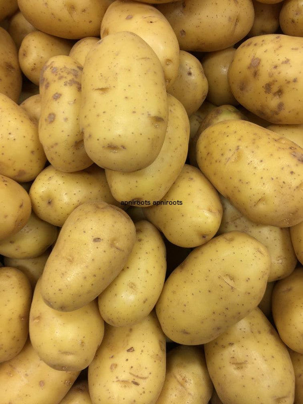 POTATOES WHITE - 1LB - apniroots Grocery