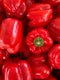 RED PEPPERS - per pc - apniroots Grocery