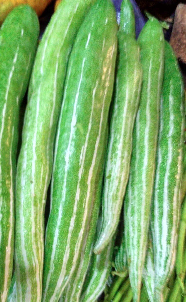 SNAKE GOURD - 1lb | (1-2 pcs approx) - apniroots Grocery