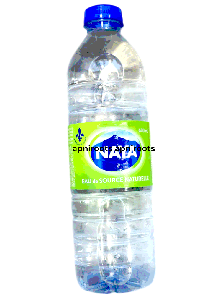 NAYA - SPRING WATER - 600ML by at apniroots Indian Grocery Store Online ...